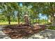 Community playground with various play structures, providing a fun and safe environment for children at 13329 Harbor Shore Ln, Winter Garden, FL 34787