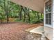 Leafy backyard featuring privacy fence and established trees, perfect for enjoying the outdoors at 1869 Eagles Rest Dr, Apopka, FL 32712