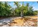 Backyard showing mature trees and sandy soil at 2105 9Th Ne St, Winter Haven, FL 33880
