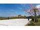 Sand volleyball court with a beautiful flowering tree for shade, perfect for friendly competition at 2916 Simile St, Kissimmee, FL 34746