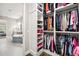 Walk-in closet with custom shelving and drawers, providing ample storage space and access to bathroom at 3647 Farm Bell Pl, Lake Mary, FL 32746