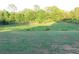 Spacious backyard with lush green grass and mature trees offering a serene outdoor retreat at 3713 N Econlockhatchee Trl, Orlando, FL 32817