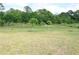 Large backyard featuring an expansive green lawn and young fruit trees, perfect for outdoor activities at 3713 N Econlockhatchee Trl, Orlando, FL 32817