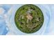 A unique aerial perspective showcases a property enveloped by lush trees and clear skies in a fisheye effect at 530 Webster St, Lake Mary, FL 32746