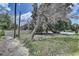 Grassy yard with old dead tree, bordered by trees and a fence at 11624 Delmar Ave, Orlando, FL 32836