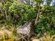 Lush wooded area with elevated wooden walkway for serene views and peaceful access to nature at 212 Tavestock Loop, Winter Springs, FL 32708