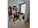 Unique dining room features stylish decor, including a cowhide rug and decorative wall piece at 2863 Middleton Cir, Kissimmee, FL 34743