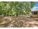 Spacious, tree-filled backyard with a small patio area, perfect for outdoor relaxation at 2918 Croton Rd, Apopka, FL 32703