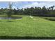 Expansive green backyard leading to a serene pond area at 3450 Mclain Preserve Pt, Sanford, FL 32771