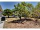 View of a backyard with a shed and a lush, mature trees at 2300 Dawnwood Ln, Orlando, FL 32809