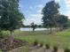 Scenic backyard view overlooking a tranquil lake, lush greenery, and mature trees at 3397 Sagebrush St, Harmony, FL 34773