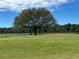 Scenic golf course view showcasing a large, mature tree and lush green fairway on a sunny day at 3397 Sagebrush St, Harmony, FL 34773