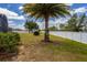 Large backyard with a white fence and a tall palm tree, providing privacy and shade at 344 Cadiz Loop, Davenport, FL 33837