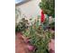 Cozy backyard featuring potted plants, flowers, and patio furniture at 3772 Huntwicke Blvd, Davenport, FL 33837