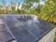 Roof fitted with solar panels, surrounded by mature, lush, tropical landscaping on a sunny day at 10105 Dean Point Pl, Orlando, FL 32825
