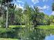 Peaceful pond reflecting lush palm trees, offering a tranquil escape with beautiful natural surroundings at 111 Crown Oaks Way # 101, Longwood, FL 32779