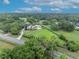 Stunning aerial view of a home with pool surrounded by lush greenery and mature trees at 1415 Brumley Rd, Chuluota, FL 32766