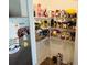 Walk-in pantry with extensive shelving packed with food, seasonings, and more at 239 Se 66Th Ct, Ocala, FL 34472