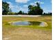Scenic view of a tranquil pond surrounded by green space and a white fence at 239 Se 66Th Ct, Ocala, FL 34472