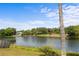 Scenic view of the lake, blue skies and mature trees at 4561 Heritage Oak Dr, Orlando, FL 32808