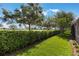 Well-maintained backyard featuring lush green grass, mature trees, and a peaceful outdoor setting for Gathering enjoyment at 10533 Belfry Cir, Orlando, FL 32832