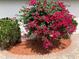 Beautiful landscaping with flowers that enhances the curb appeal of the property at 21 Abbey Ct, Haines City, FL 33844