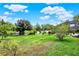 Expansive backyard with lush greenery, mature trees, and a serene screened-in pool area at 28136 Tammi Dr, Tavares, FL 32778