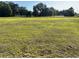 Lush pastureland provides ample space with mature trees bordering the perimeter of the acreage at 3064 S Us Highway 41, Dunnellon, FL 34432