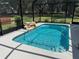 Screened-in pool area with clear blue water and a beautiful rock waterfall feature surrounded by lush landscaping at 3064 S Us Highway 41, Dunnellon, FL 34432