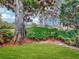 Lush backyard featuring a beautiful tree, manicured bushes, and a green lawn at 9 Abbey Ct, Haines City, FL 33844