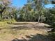View of the expansive front yard surrounded by mature trees and landscaping at 1424 Lake Shore Dr, Casselberry, FL 32707