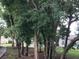 Mature trees line the street, providing shade and curb appeal to the neighborhood homes at 410 Horizon Dr, Winter Springs, FL 32708