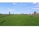 Large, grassy dog park with secure fencing, offering plenty of space for pets to run and play freely at 5113 Forget Me Not Ave, Lake Hamilton, FL 33851