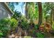 Beautifully landscaped backyard path with mature bamboo and tropical plants at 617 Red Oak Cir # 121, Altamonte Springs, FL 32701