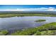 Breathtaking aerial view of tranquil lake, lush greenery, and serene surroundings at 7374 Circle Dr, Lady Lake, FL 32159