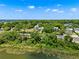 Breathtaking aerial view of a lush, green lakeside community with charming homes at 996 Fairview Ave, Mount Dora, FL 32757