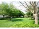 Lush green landscape featuring mature shade trees in the Colonial Town Square neighborhood at 1624 Park Lake St, Orlando, FL 32803