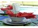 Elegant poolside table setting showcasing decorative plates, bowl, drinkware and a coral napkin under natural lighting at 2624 Daulby St, Kissimmee, FL 34747