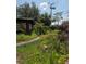 Backyard with overgrown vegetation and a blue painted, in-ground pool at 2638 S Laurel Ave, Sanford, FL 32773