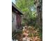 Backyard featuring overgrown greenery, a large tree, and various discarded items at 2638 S Laurel Ave, Sanford, FL 32773
