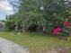 House exterior view with tropical landscaping and flowering bougainvillea bushes in the front yard at 2638 S Laurel Ave, Sanford, FL 32773