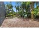 Backyard with many trees and plants at 3606 Palm Ave, Apopka, FL 32703