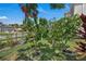 Landscaped backyard with tropical trees, garden beds, and lush green lawn at 3966 Steer Beach Pl, Kissimmee, FL 34746