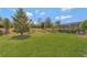 Lush green backyard with well-maintained landscaping and room for outdoor activities at 553 Adenmore Ter, Deland, FL 32724