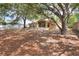 Spacious backyard featuring lush trees, screened in lanai, and ample space for outdoor activities at 618 Meadow Park Dr, Minneola, FL 34715