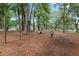 Charming community playground with swings, slides, and play equipment amidst a tranquil, tree-filled setting at 103 Greenleaf Ln, Altamonte Springs, FL 32714