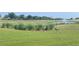 Scenic view of a community pond with a fountain and three birds wading in the grass at 1082 Trappers Trail Loop, Davenport, FL 33896