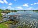 Aerial view shows a lake with covered docks, calm water, and lily pads on a clear sunny day at 13120 Zori Ln, Windermere, FL 34786