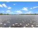 Open view of lake covered with lilly pads on a sunny day with blue sky and fluffy clouds at 13120 Zori Ln, Windermere, FL 34786