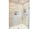 Walk-in shower featuring sleek tile, multiple shower heads, and built-in niche shelving at 14533 Crestavista Ave, Clermont, FL 34714